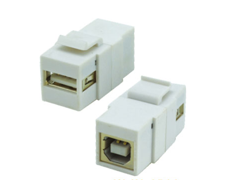 USB2.0 (A-B)Keystone Wallplate Insert