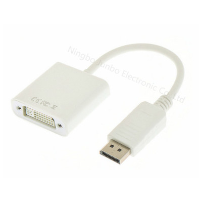 DisplayPort Male to DVI Female Converter Cable